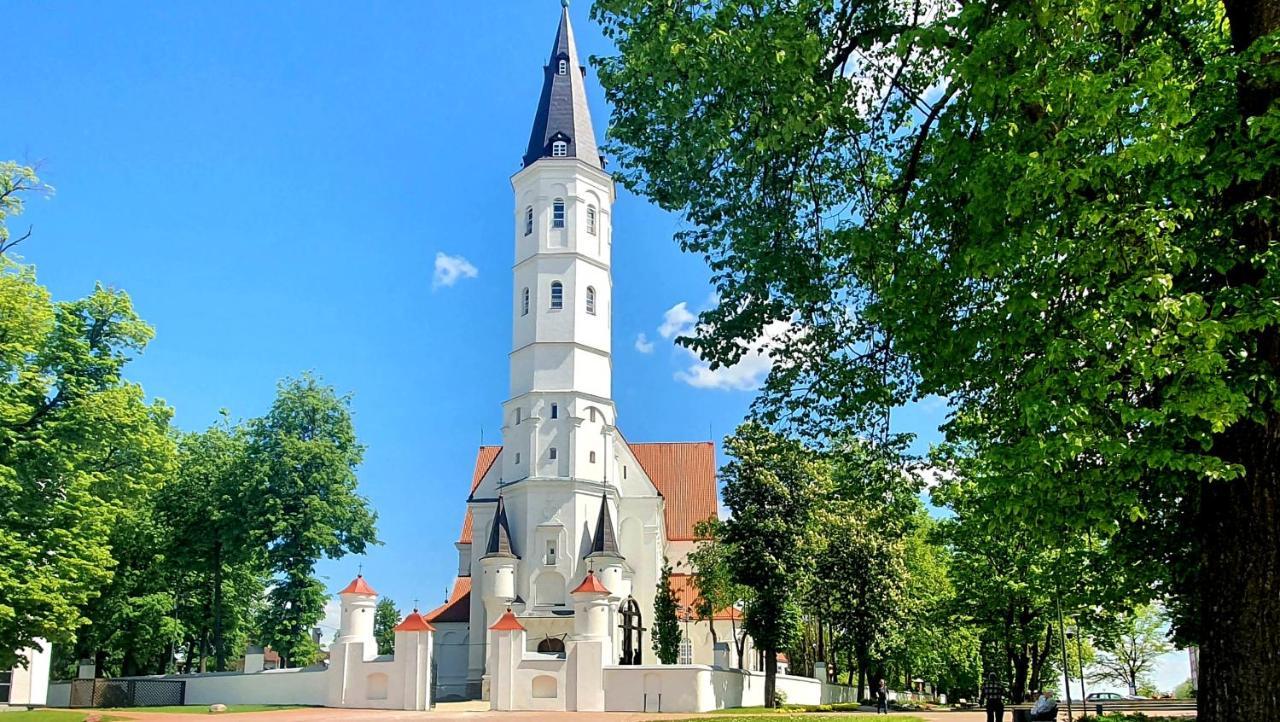 Apartment Next To Cathedral Of Saints Peter & Paul Šiauliai Exteriér fotografie